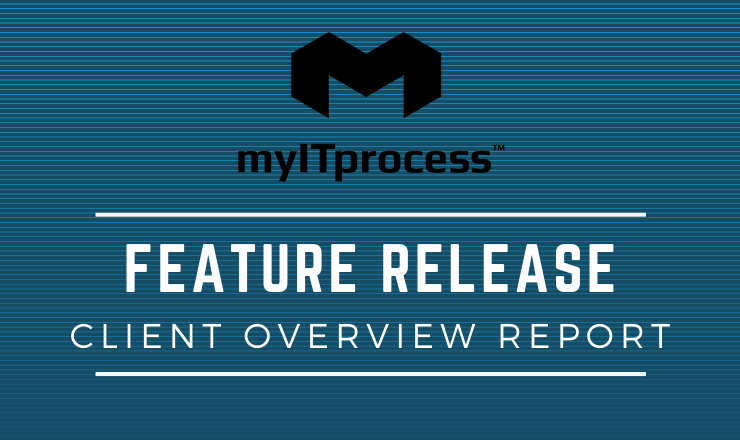 myITprocess Feature Release: Client Overview Report