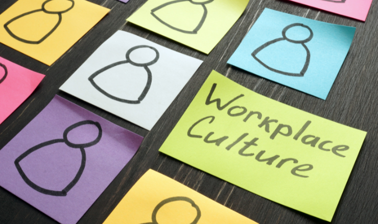 D-Players: The Hidden Cost of Culture Killers in Your Organization