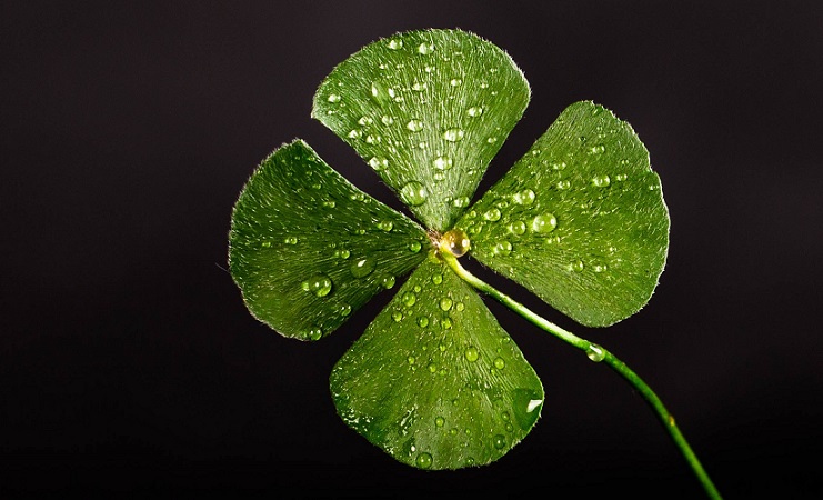 Return on Luck: How Do You View ‘Luck’ Events?